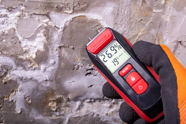 Best DIY Mold Remediation Support Services in Linganore, MD